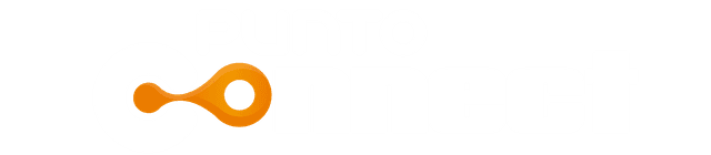 Punto Connect Logo